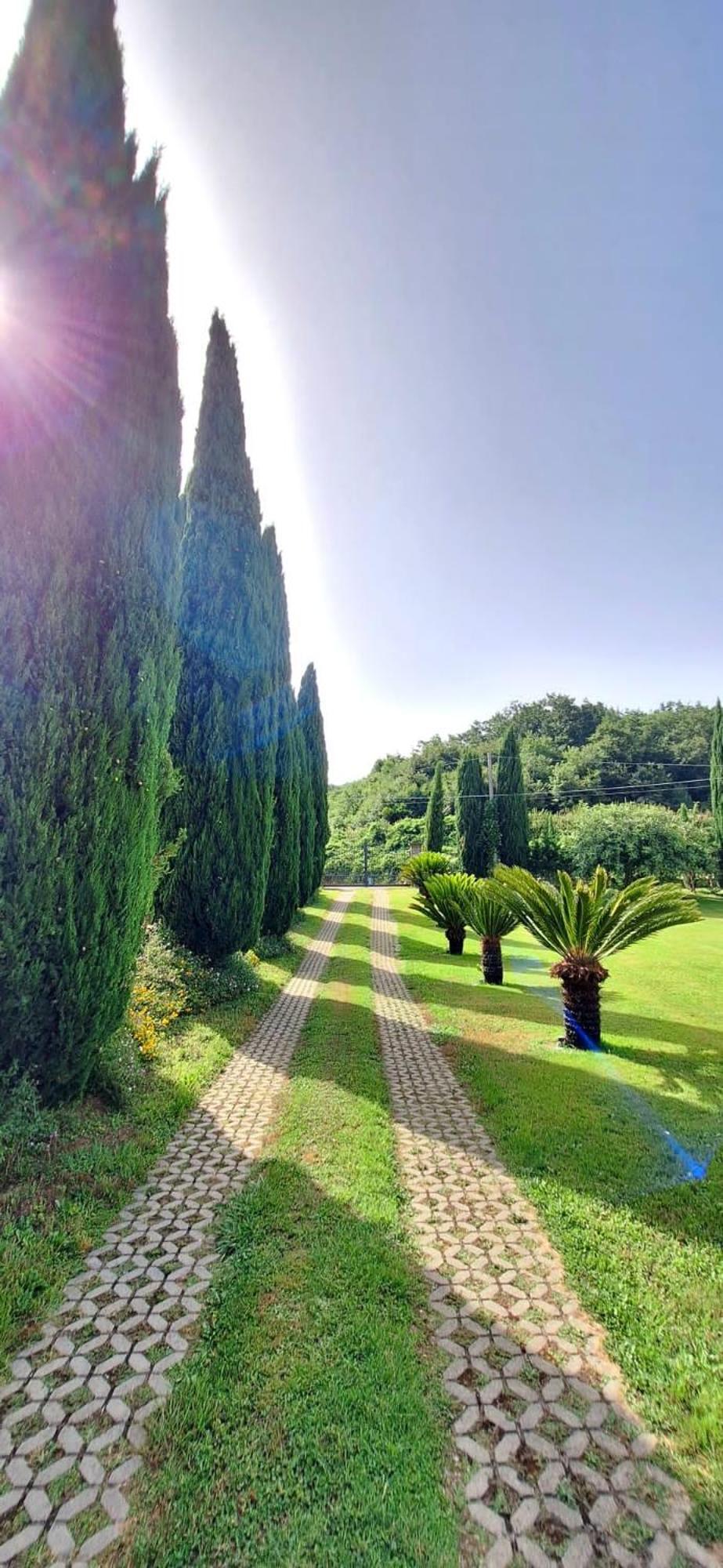 Villa Lucilla Altavilla Silentina Exterior photo