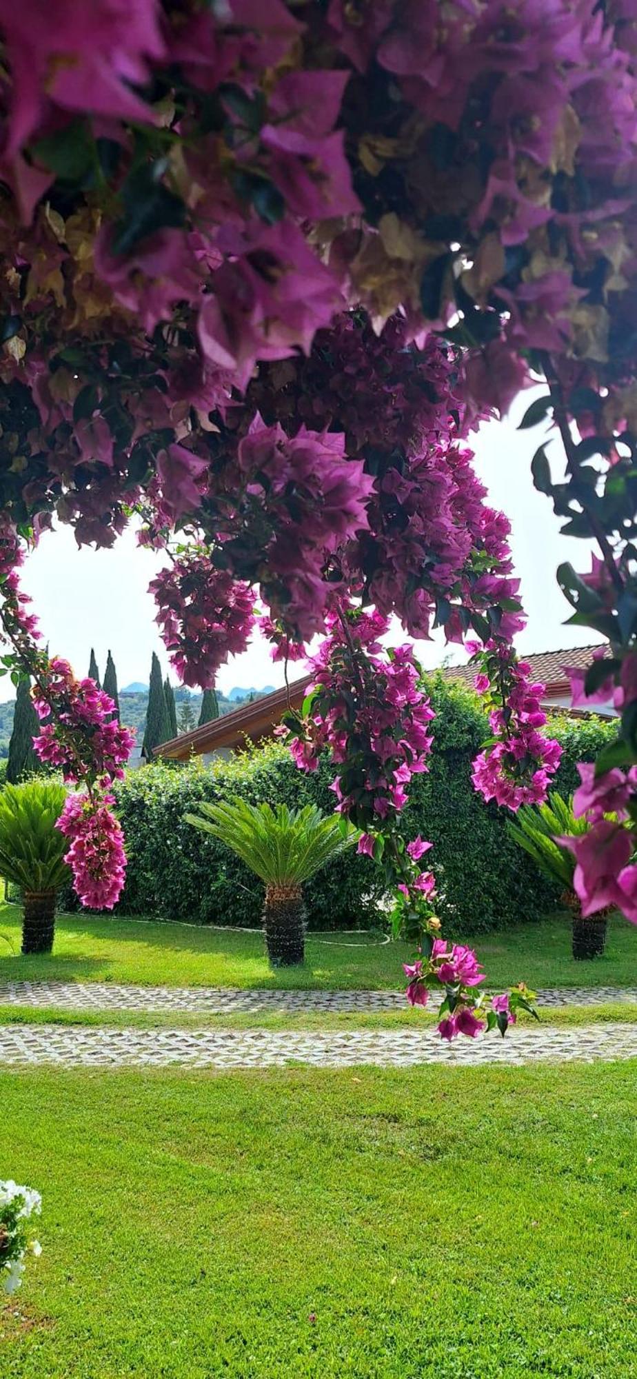 Villa Lucilla Altavilla Silentina Exterior photo
